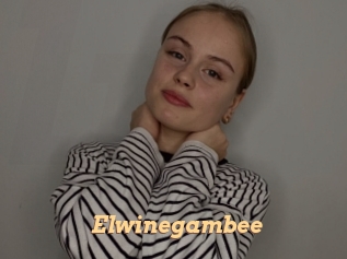 Elwinegambee