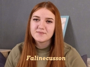 Falinecusson