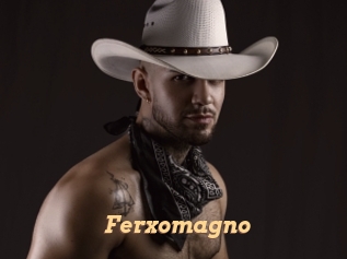 Ferxomagno