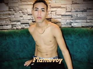 Flamevoy