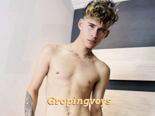 Gropingvoys