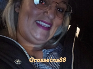 Grosseins88