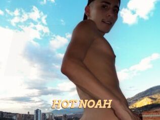 HOT_NOAH