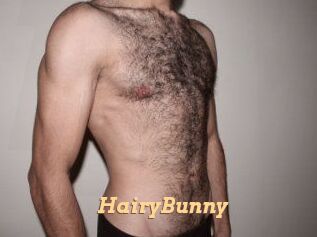 HairyBunny