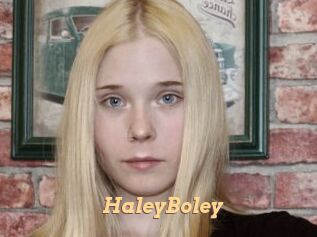 HaleyBoley