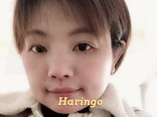 Haringo