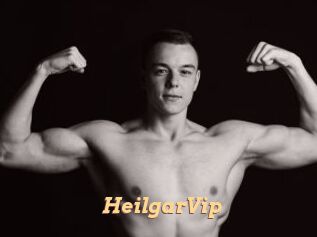 HeilgarVip