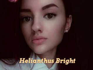 Helianthus_Bright