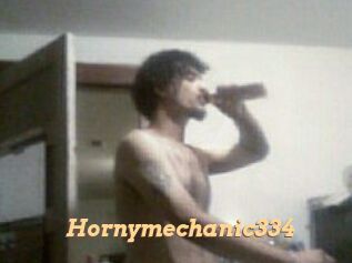 Hornymechanic334