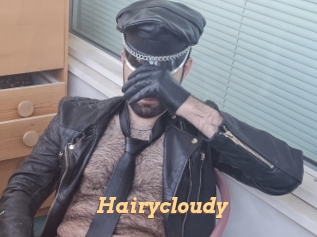 Hairycloudy