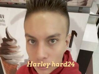 Harley_hard24