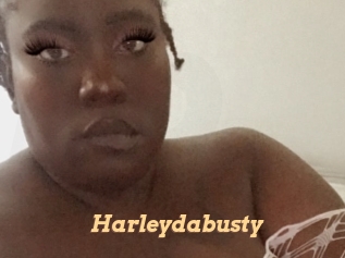 Harleydabusty