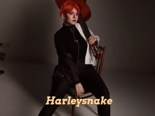 Harleysnake