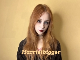 Harrietbigger