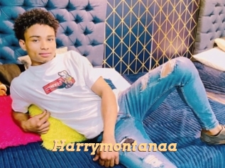 Harrymontanaa