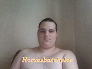 Horsesbatchelor