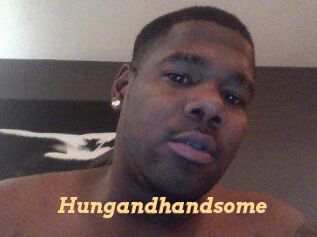 Hungandhandsome