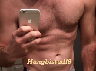 Hungbistud18