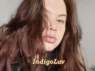 IndigoLuv
