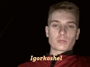 Igorkoshel