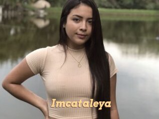 Imcataleya