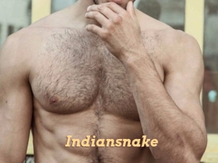 Indiansnake