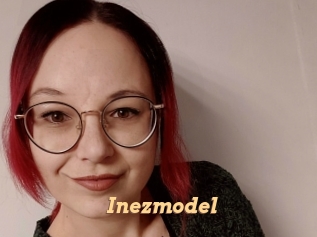 Inezmodel