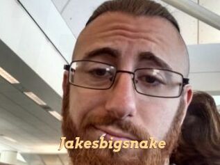 Jakesbigsnake