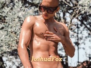 JoshuaFox