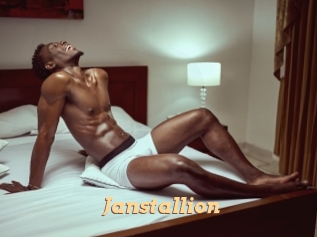 janstallion Live Paradise