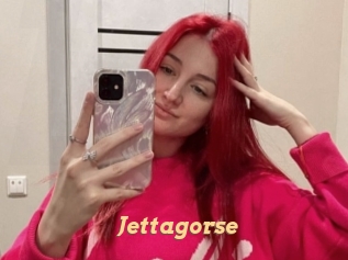 Jettagorse