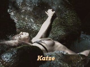 Katze