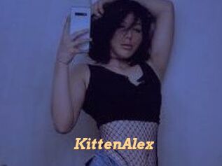 KittenAlex