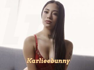 Karlieebunny