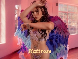 Kattrose