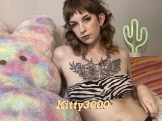 Kitty3000