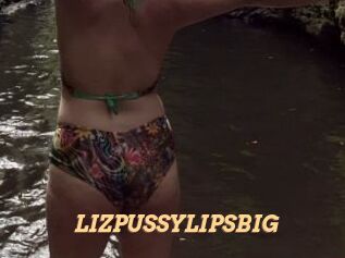 LIZPUSSYLIPSBIG