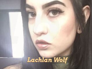 Lachlan_Wolf