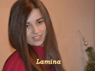 Lamina