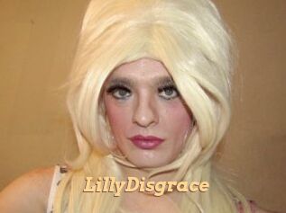 LillyDisgrace