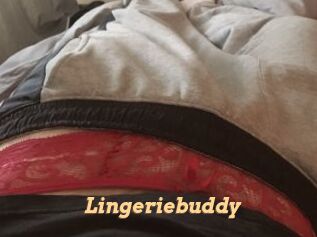 Lingeriebuddy