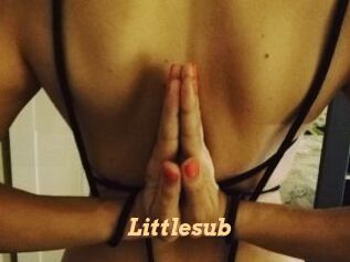 Littlesub