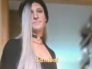 Lamboi