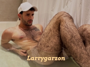 Larrygarzon