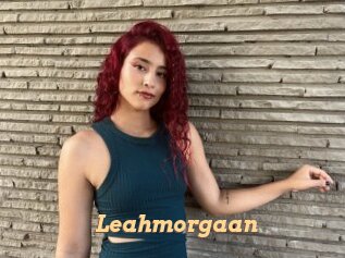 Leahmorgaan