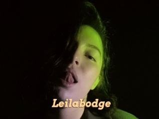 Leilabodge