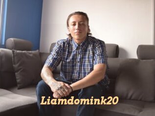 Liamdomink20