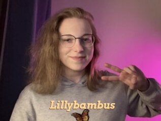 Lillybambus