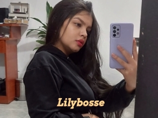 Lilybosse