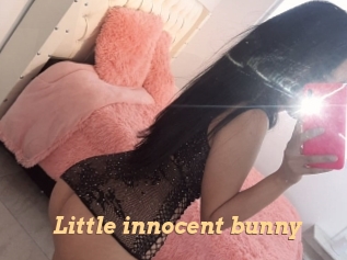 Little_innocent_bunny